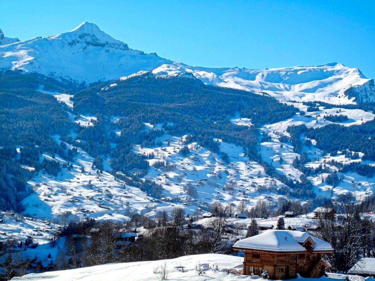 Apartment Chalet Almis-Boedeli-1 By Interhome Grindelwald Esterno foto